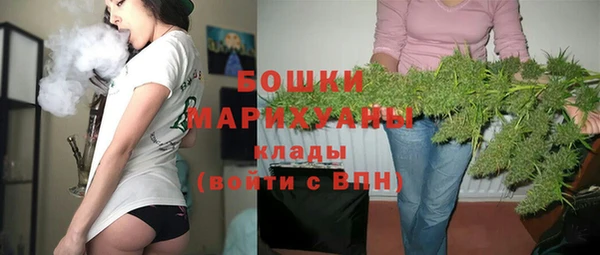 мдпв Богданович