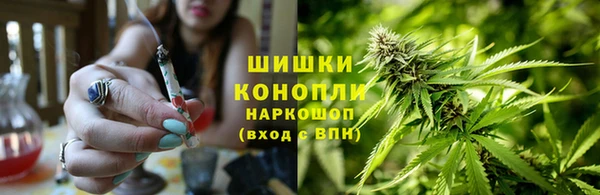 mix Богородицк