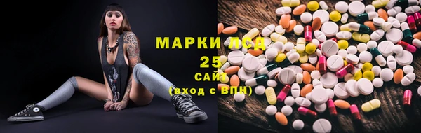 мдпв Богданович