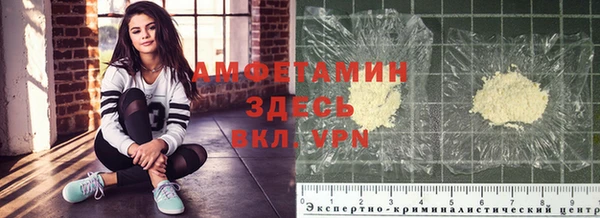 мдпв Богданович