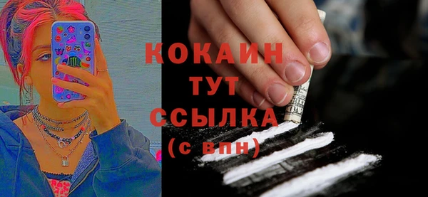 mix Богородицк